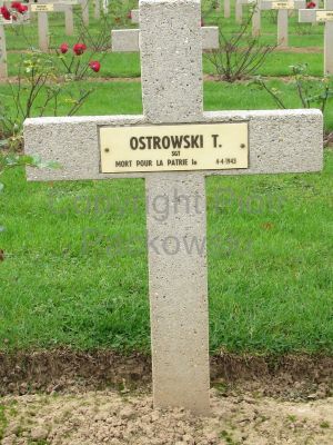 OSTROWSKI Tadeusz
- 21 ans -
Né 16.12.1921 Minsk Mazowiecki
Décès 04.04.1943 Serville (28)
Abattu par un flak allemand avec Spitfire BS 335
Matricule 792127
Polish Air Force
315ème Escadron Deblinskie
Lancier Sergent
Tombe 4 - Carré III - Rang AA
copyright photo Piotr Packowski
copyright Frania
