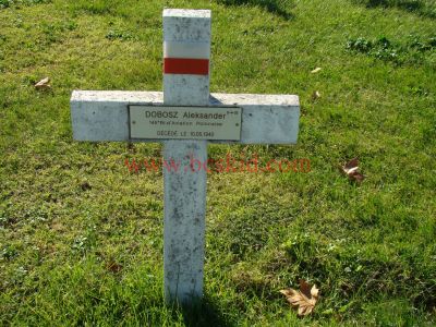 DOBOSZ Aleksander
29 ans - célibataire 
Né 13.05.1914 Checiny Gorzno Mazowieckie (PL)
Décès 10.05.1944 Bron (69) 
Lors du bombardement de l'aéroport de Bron
145ème Bataillon Aviation Polonaise
Radio Mécanicien
Estampille 274/D
Provenance Lyon-Guillotière 5/C3-I-12
Inhumation 30.09.1957 - PV 2242
Carré D - Rang 4 - Tombe 32
Copyright Frania
