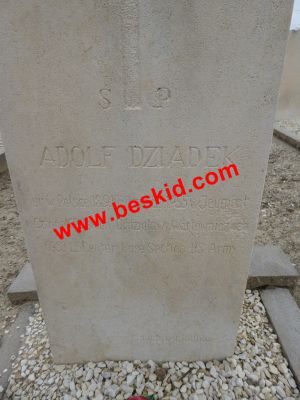 DZIADEK Adolf
Soldat Camp américain de Jeumont
Né 30-09-1929 (PL)
Décès 08-06-1955 La Rochelle (17) 
04 rue Aufrédi
Résident à Chinon (37)
25 ans
Copyright Frania 
Copyright photo Anusia
