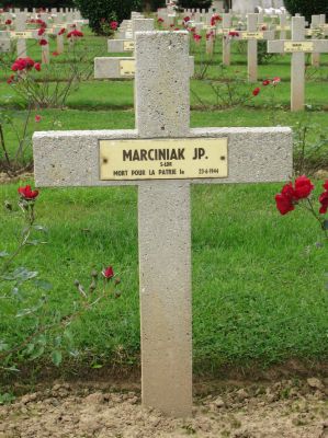 MARCINIAK Janusz
- 27 ans -
Né 11.7.1916 Sébastopol (Crimée)
Décès 23.06.1944 Le Puits Crulai (61)
Polish Air Force
306ème Escadron Torunskie
Chef d’Escadron
Matricule P317
Capitaine 
Abattu flak allemand avec Mustang FX 970 code SZ-C
Il a réussi à renflouer mais son parachute a refusé d'ouvrir
Tombe 7 - Carré II - Rang AA
copyright photo Piotr Packowski
copyright Frania
